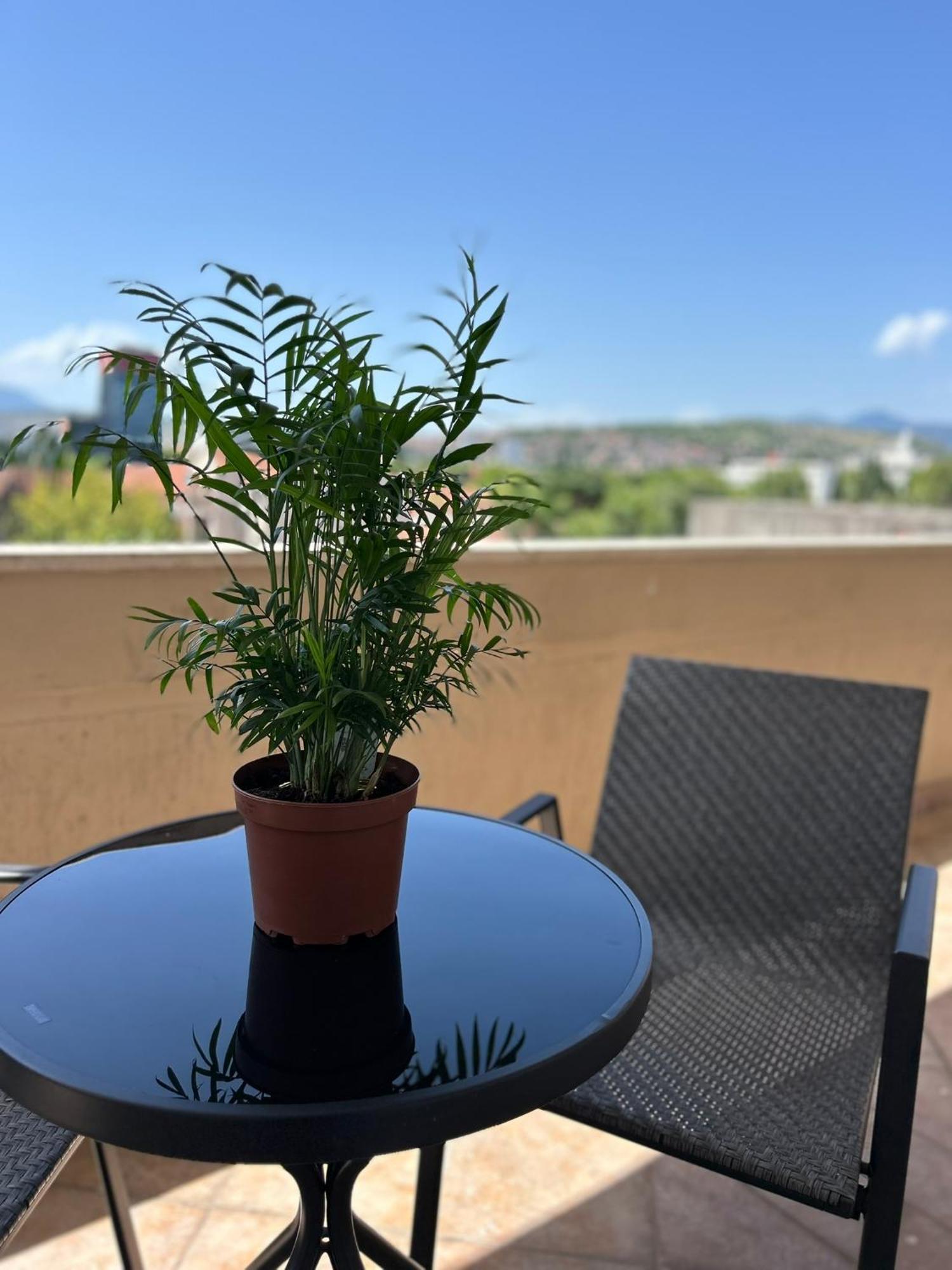 Hotel Bojatours Podgorica Exteriör bild